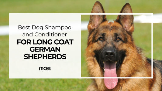 Best Dog Shampoo and Conditioner for Long Coat German Shepherds