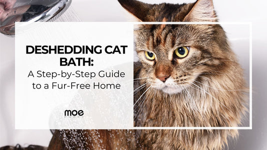 Deshedding Cat Bath: A Step-by-Step Guide to a Fur-Free Home