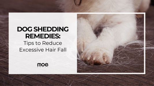 Dog Shedding Remedies: Tips to Reduce Excessive Hair Fall