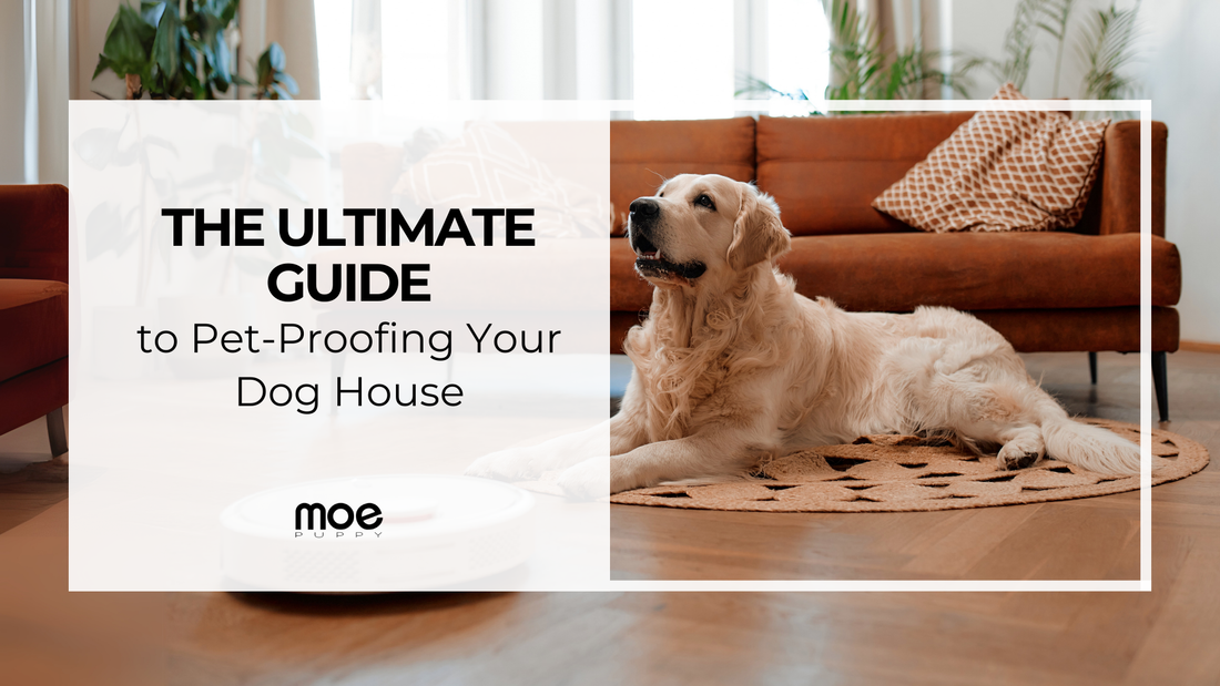 The Ultimate Guide to Pet-Proofing Your Dog House