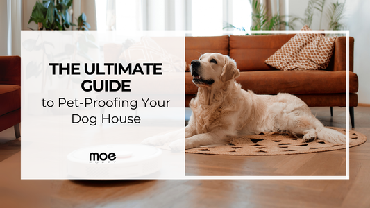 The Ultimate Guide to Pet-Proofing Your Dog House