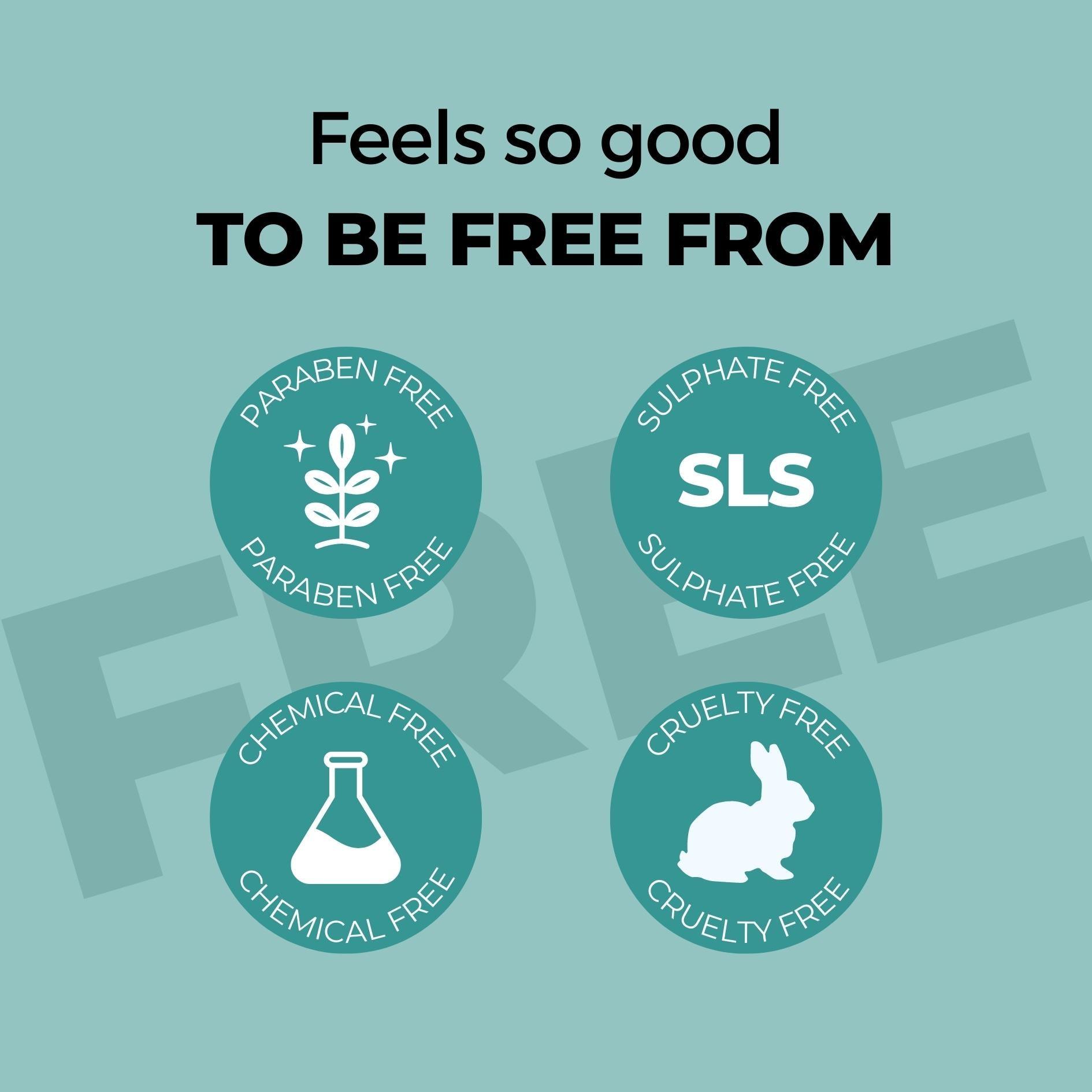 pet shop near me dog