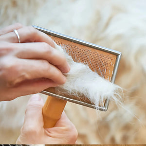 Fur Shedding