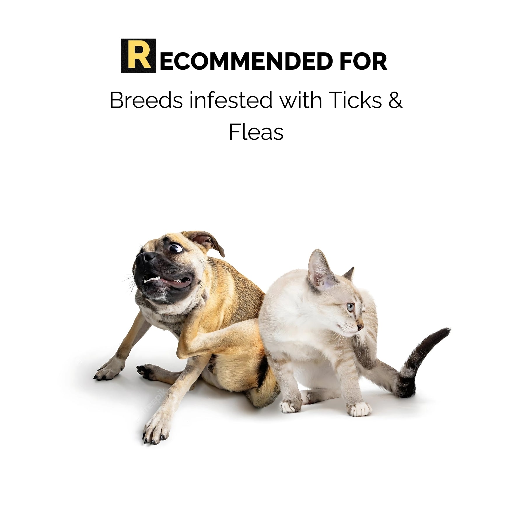 Anti tick spray for dogs and cats recommended