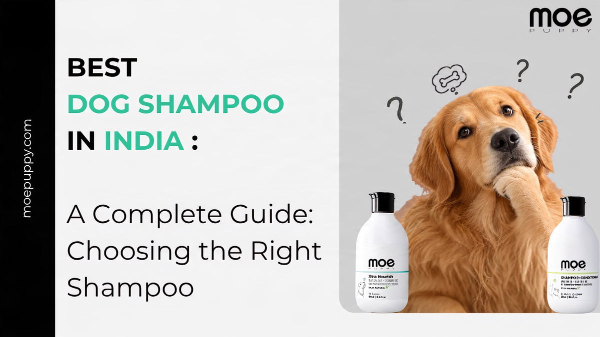 Best Dog Shampoo in India
