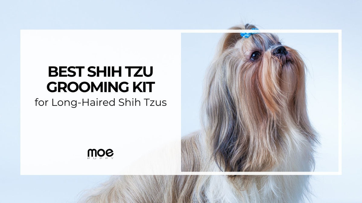 Best Shih Tzu Grooming Kit for Long-Haired Shih Tzus – Moe Puppy