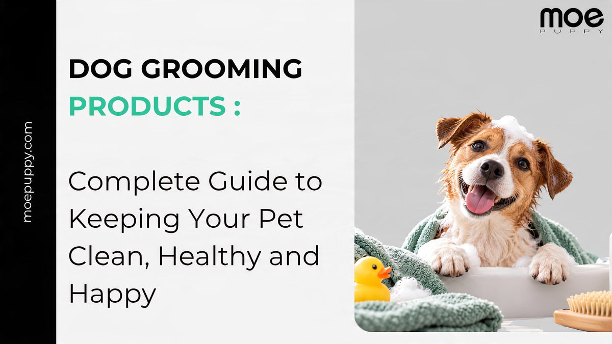 Dog Grooming Products