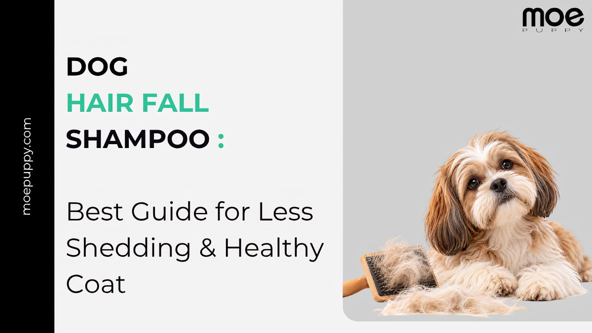 Dog Hair Fall Shampoo