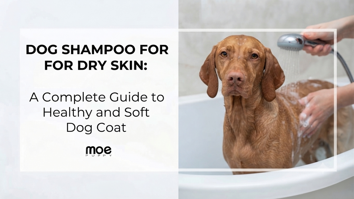Dog Shampoo for Dry Skin