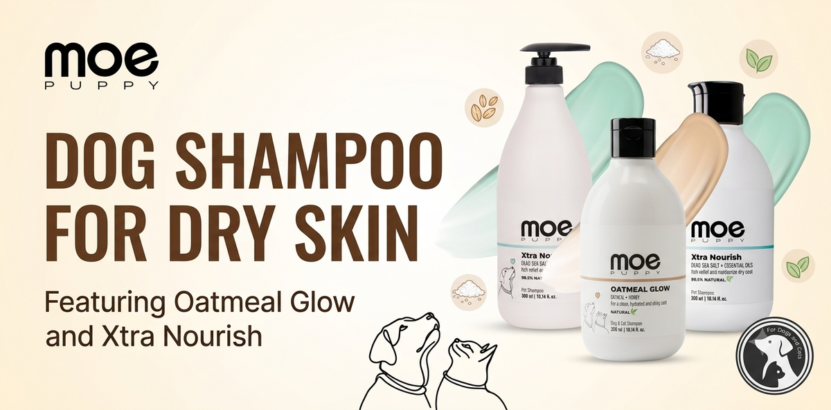 Dog Shampoo for Dry Skin