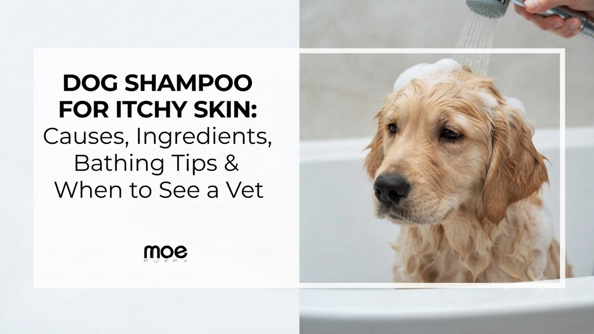 Dog Shampoo for Itchy Skin