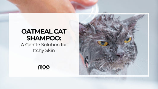 Oatmeal Cat Shampoo: A Gentle Solution for Itchy Skin