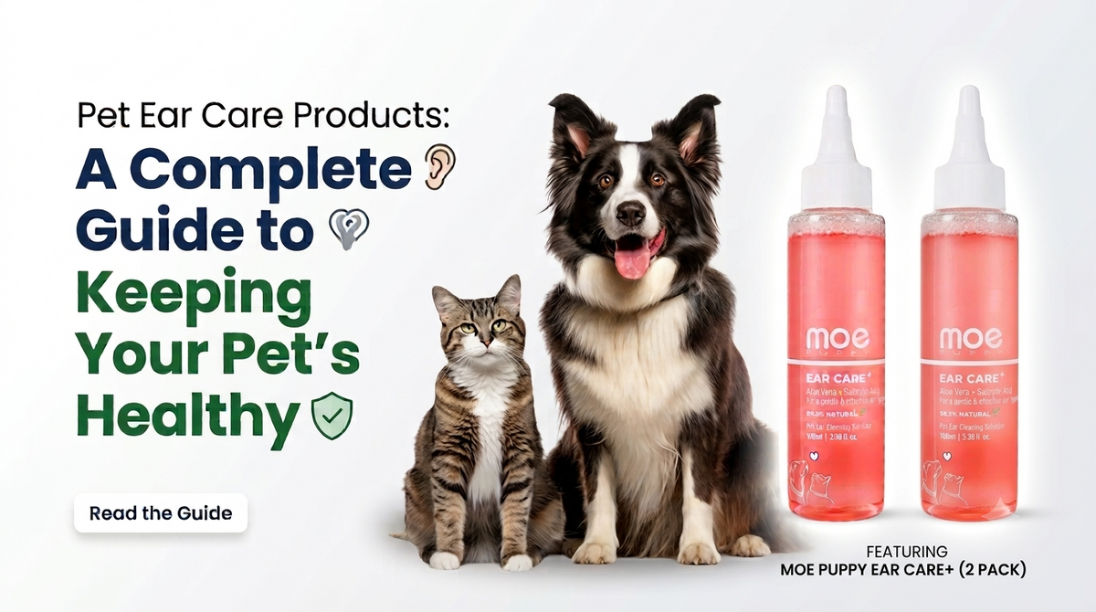 Pet Ear Care Products: A Complete Guide to Keeping Your Pet’s Ears Healthy