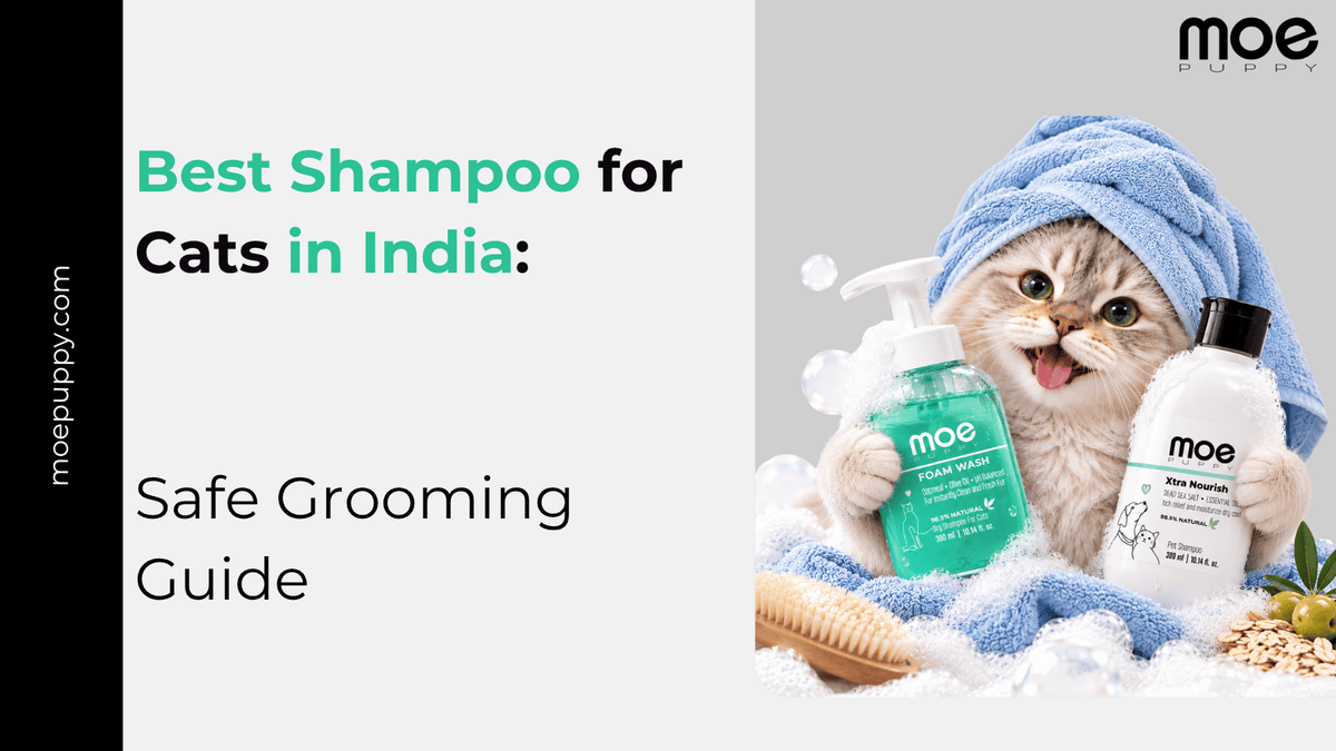 best shampoo for cats in India