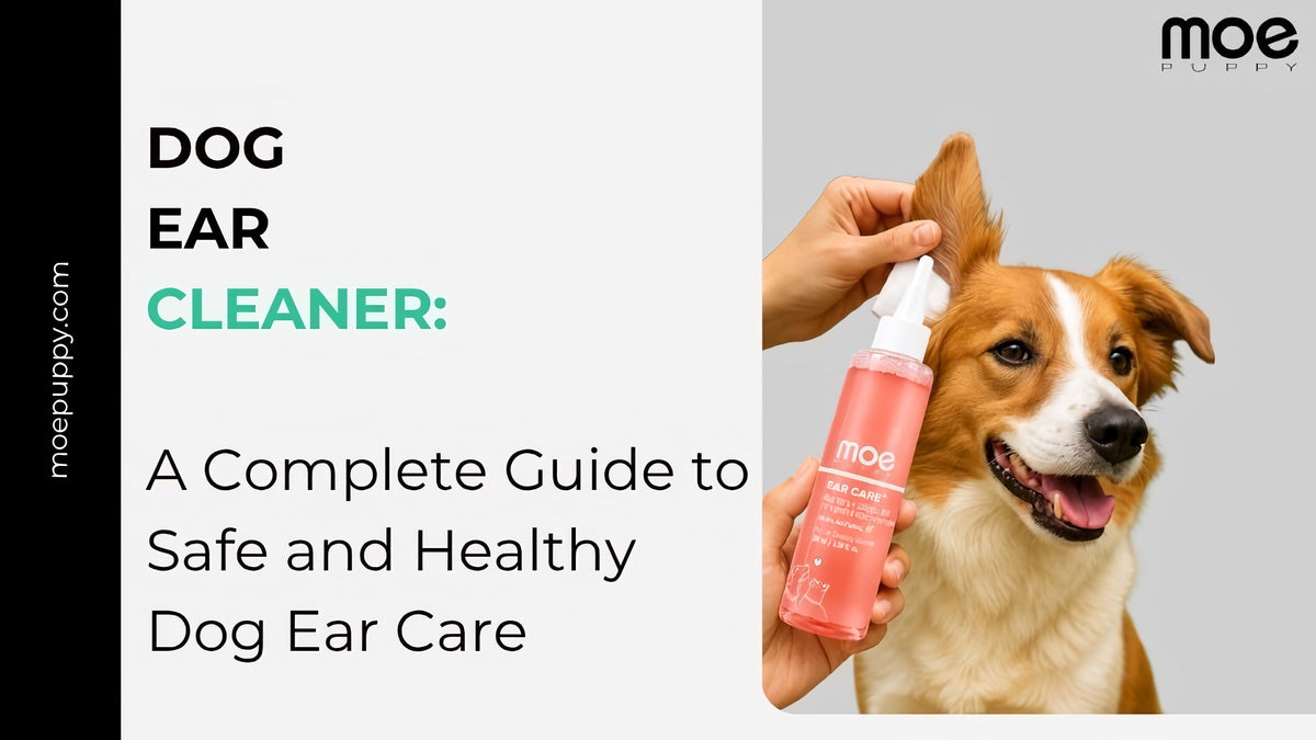 Dog Ear Cleaner
