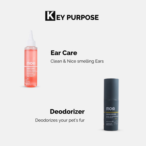 5-in-1 Waterless Grooming + Hygiene Kit