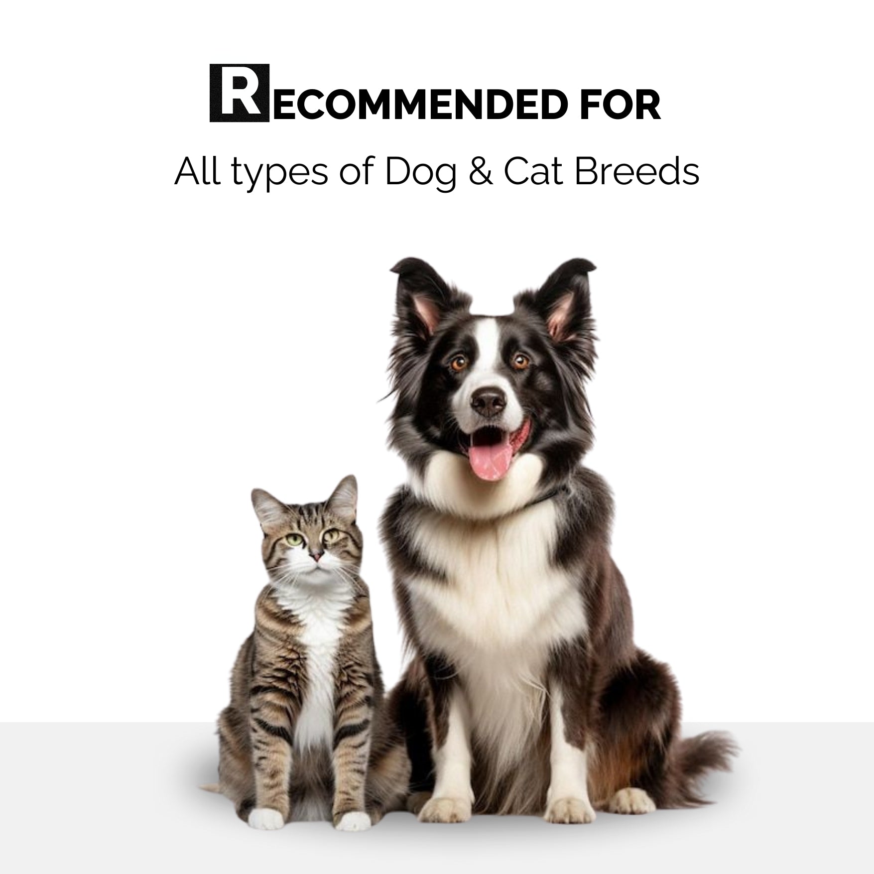 Xtra Nourish + 4-in-1 Conditioner Combo