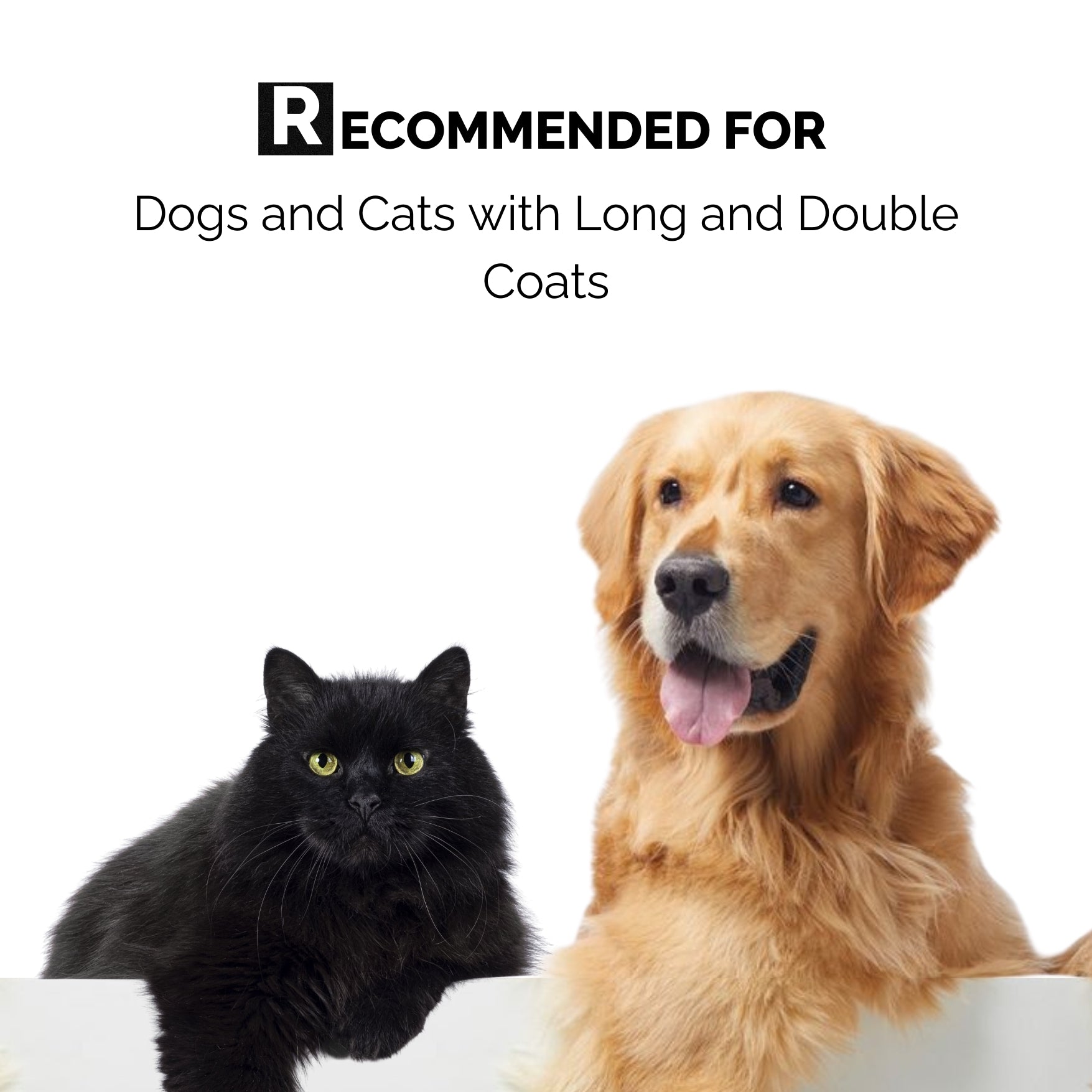 Keratin plus & 4 in 1 Conditioner Combo