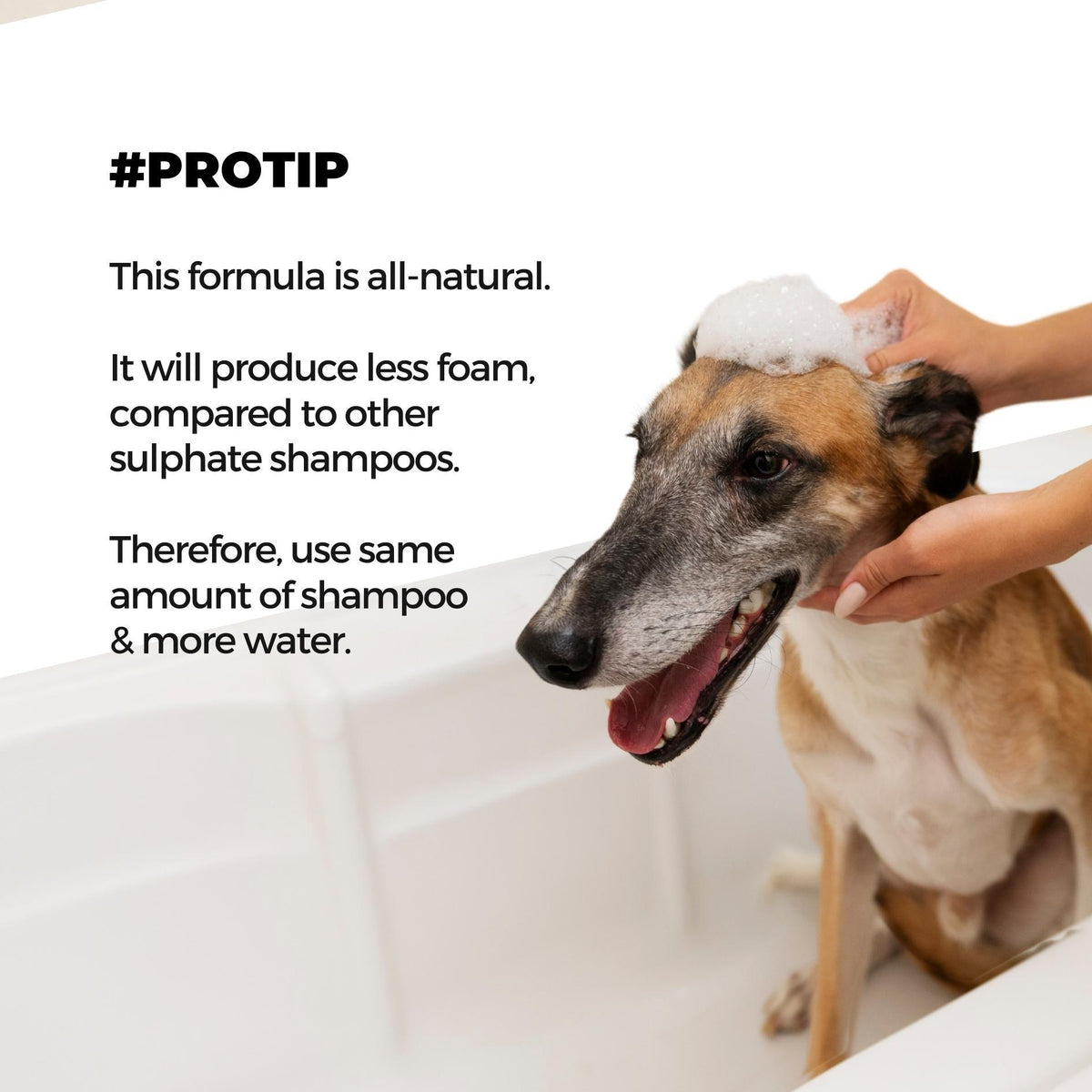Shampoo + Conditioner & Tick Defense Pet Shampoo Combo - Moe Puppy