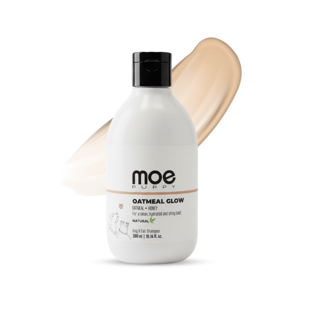 Oatmeal Glow Shampoo – Shine Boosting with Oatmeal and Honey