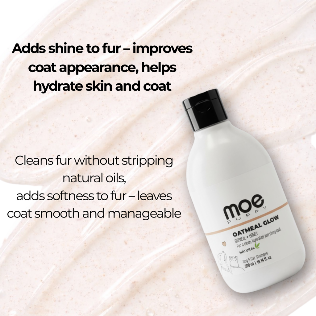 Oatmeal Glow Shampoo – Shine Boosting with Oatmeal and Honey