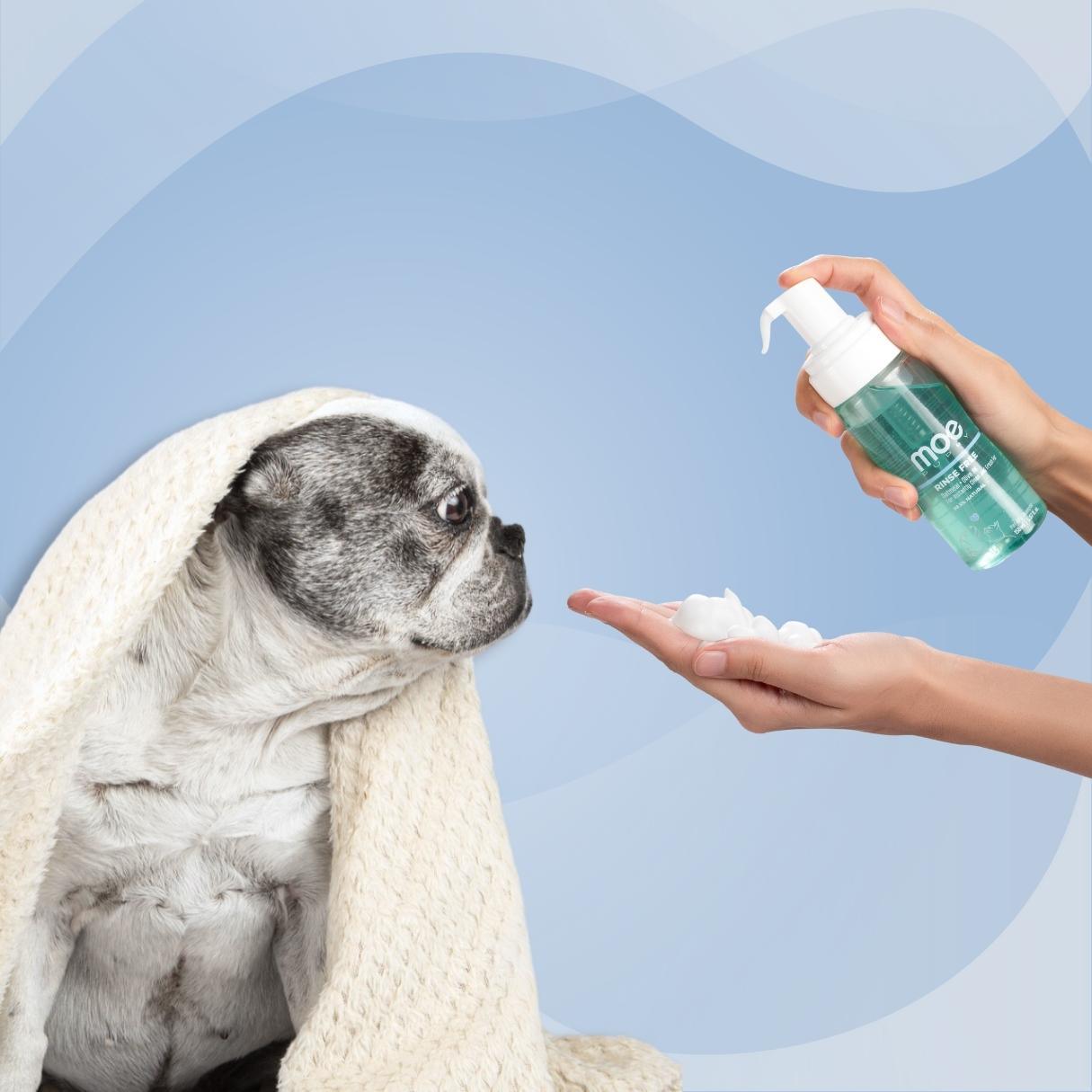 dog shampoo for puppies