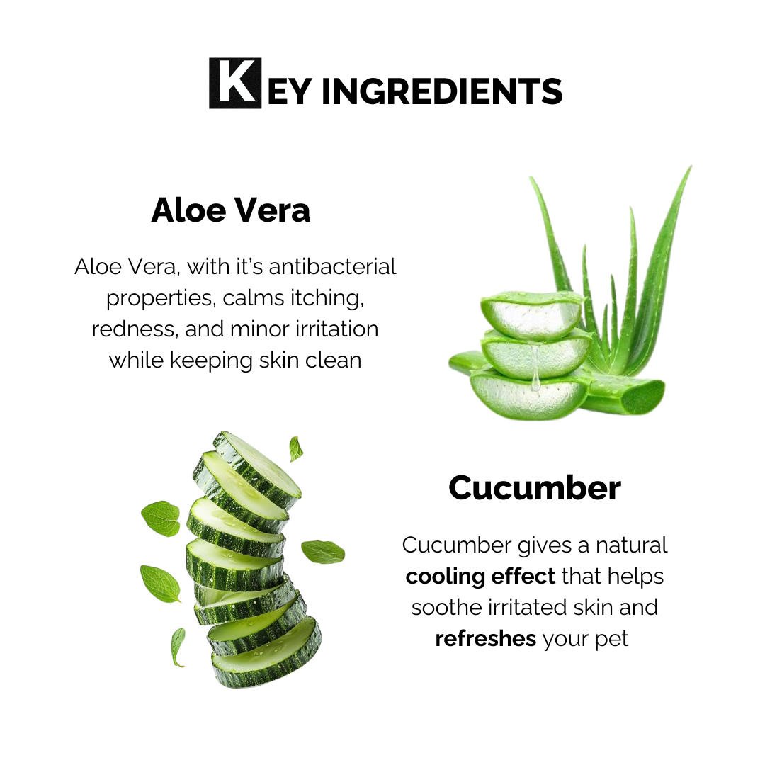 Moe Puppy Derma Wipes for Dogs & Cats