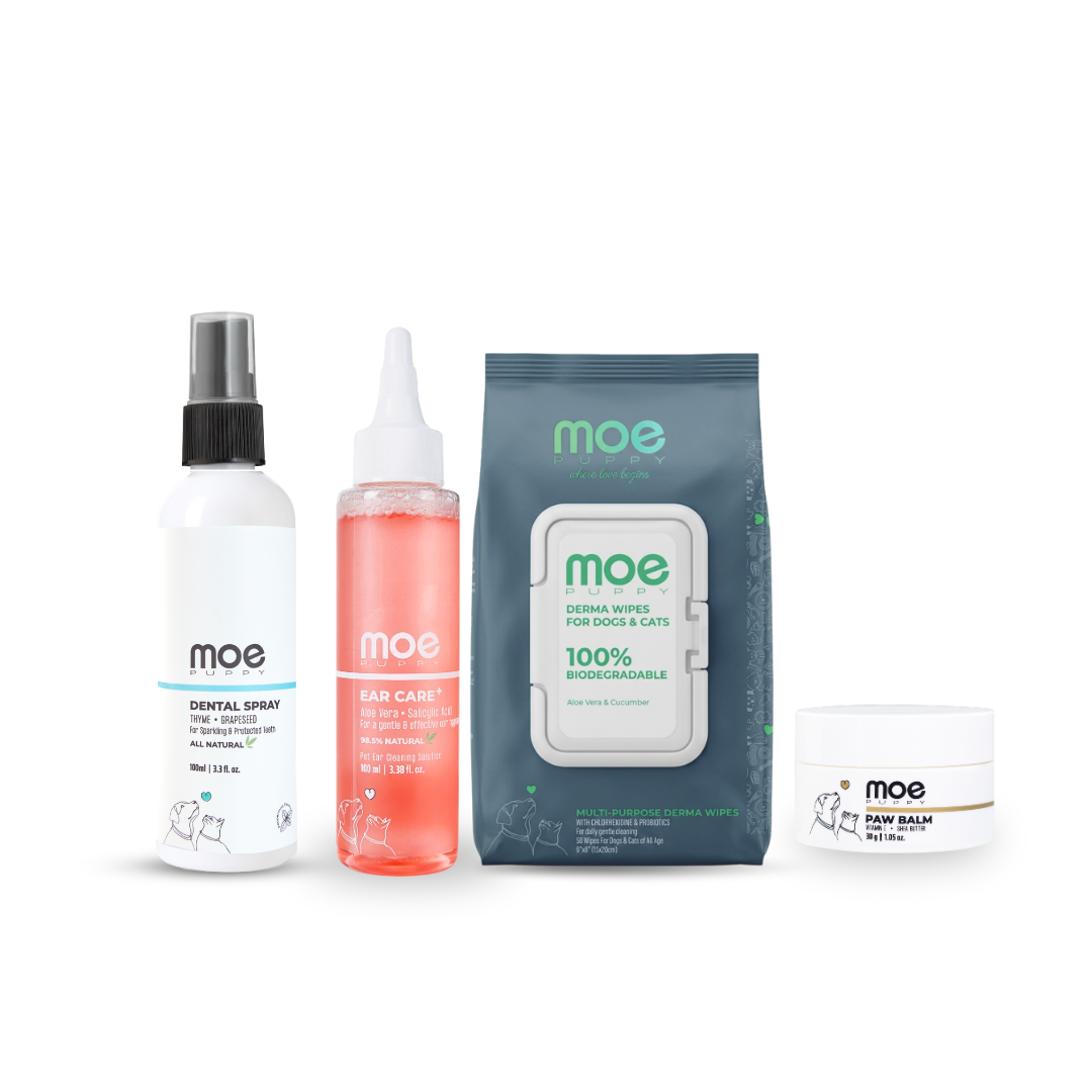 Daily Hygiene Kit For Dogs & Cats
