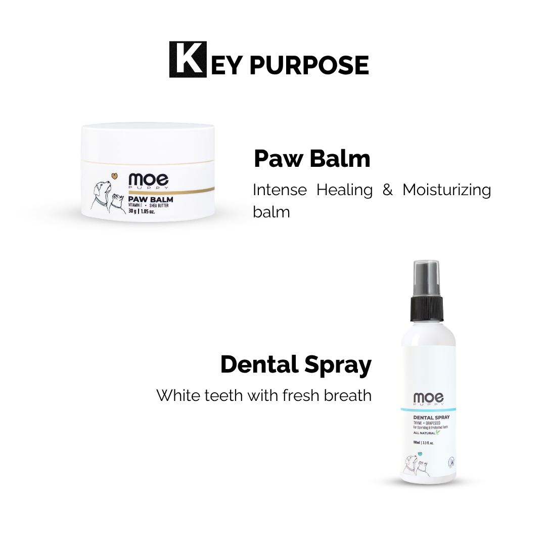 Daily Hygiene Kit For Dogs & Cats