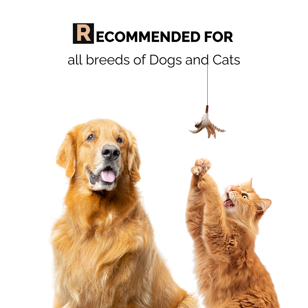 Daily Hygiene Kit For Dogs & Cats