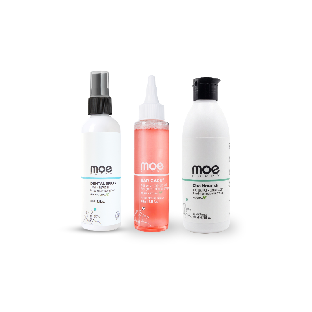 Complete Grooming & Hygiene Combo for Dogs & Cats