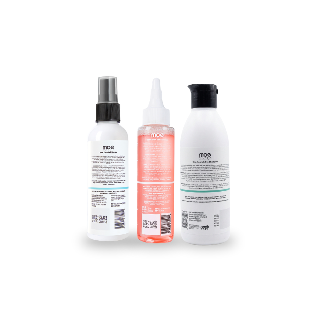 Complete Grooming & Hygiene Combo for Dogs & Cats