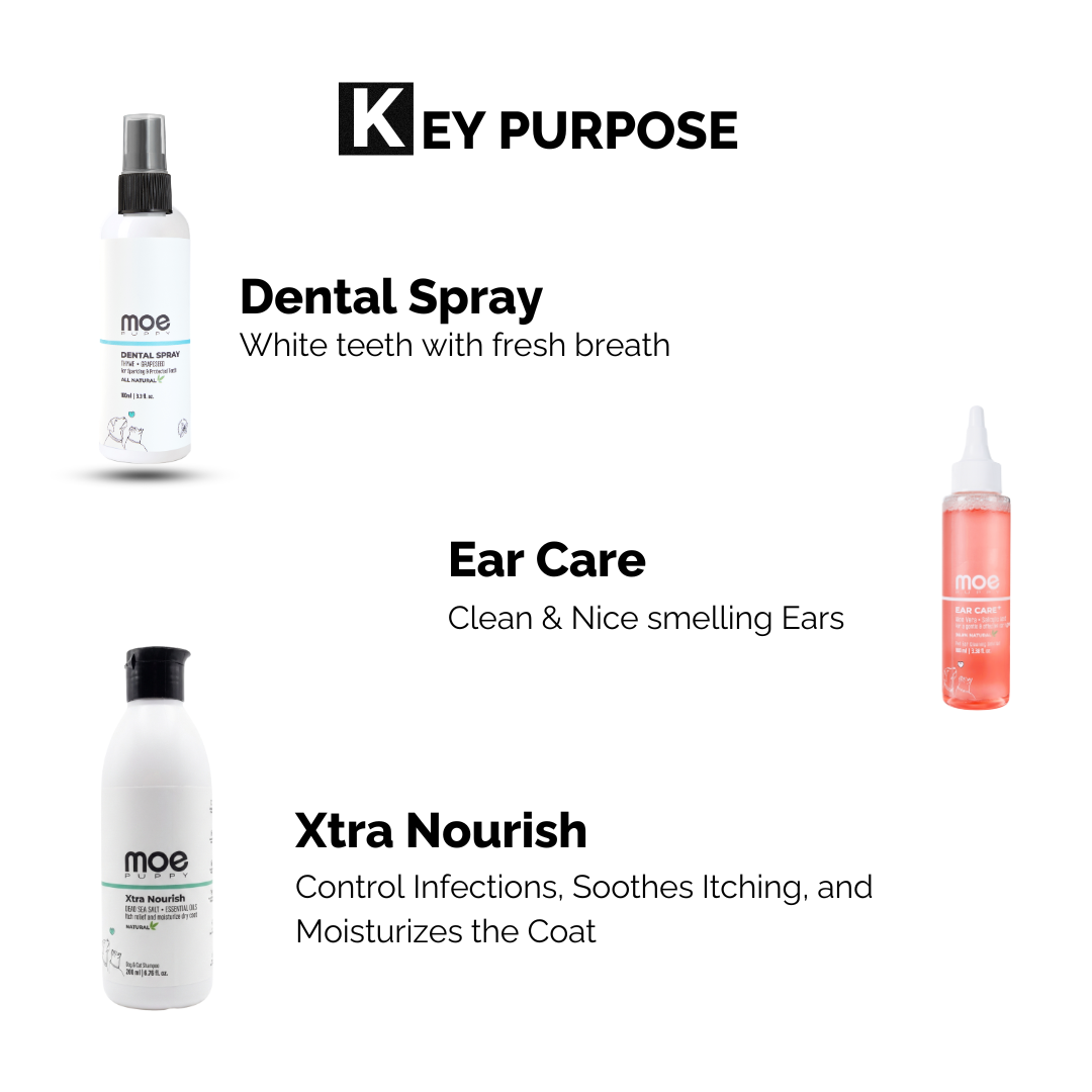 Complete Grooming & Hygiene Combo for Dogs & Cats