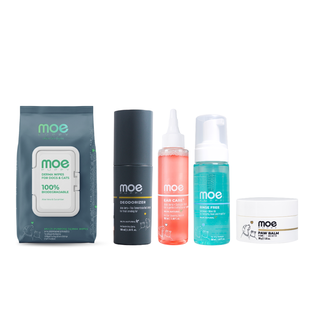 5-in-1 Waterless Grooming + Hygiene Kit