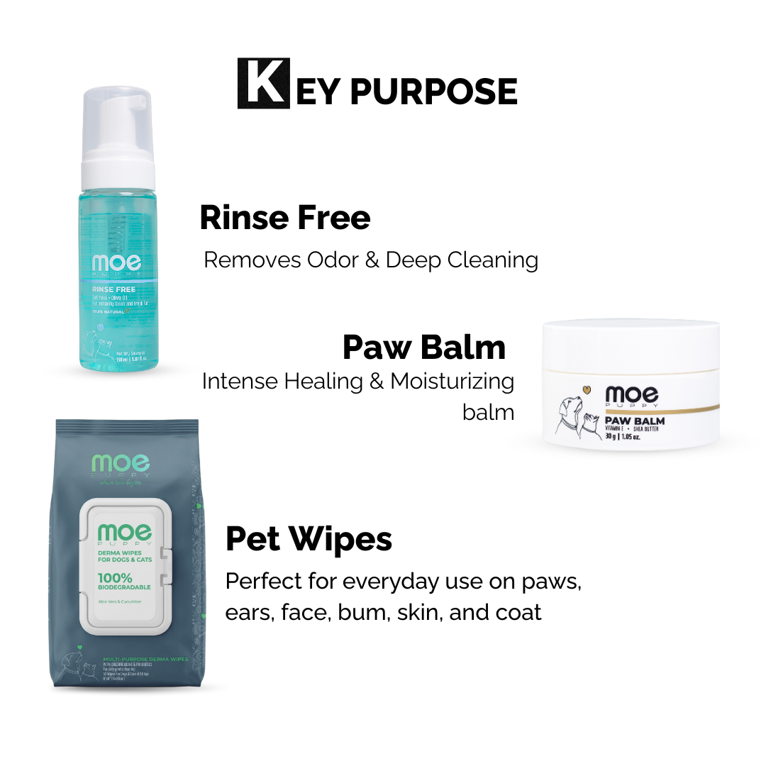 5-in-1 Waterless Grooming + Hygiene Kit