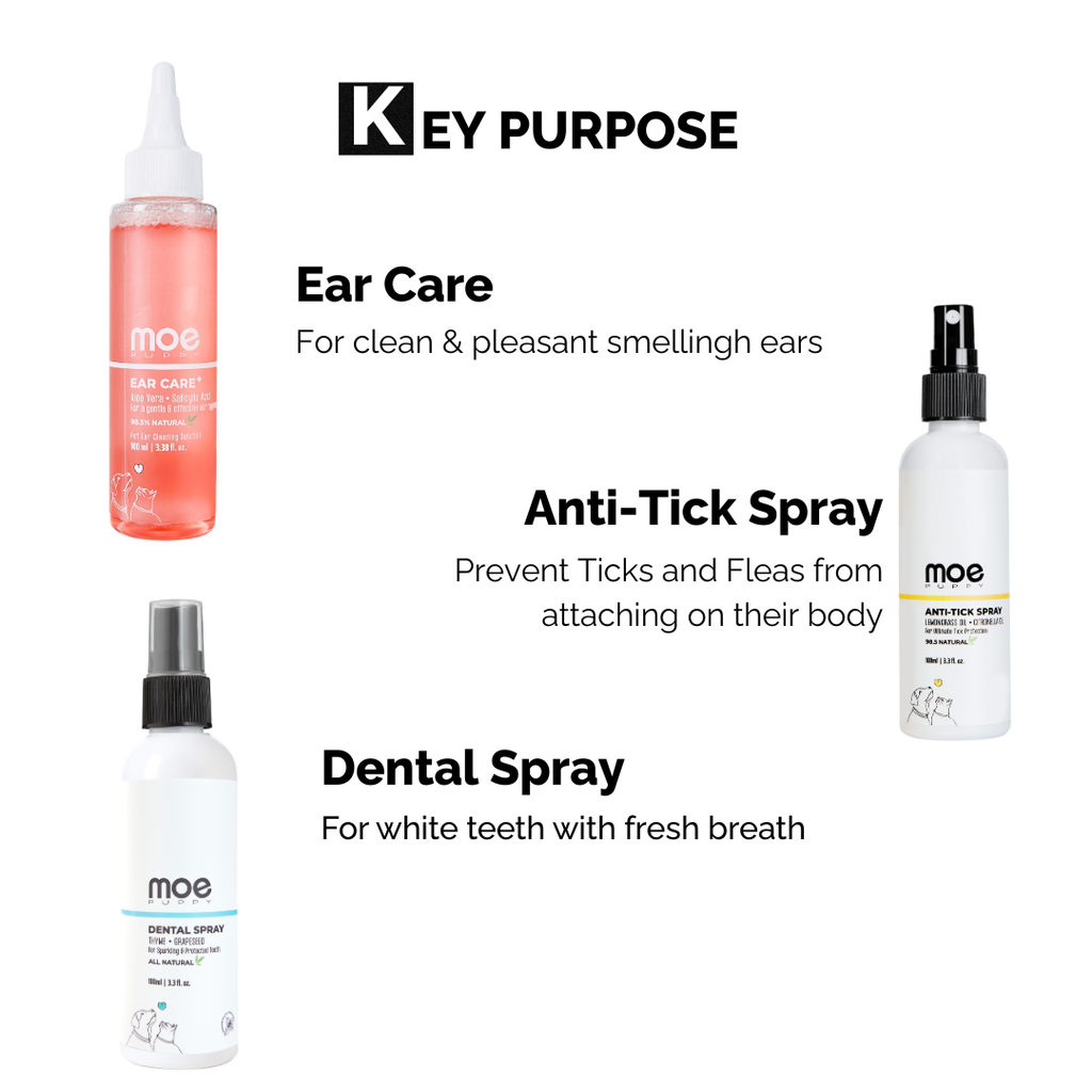 3-in-1 Hygiene & Protection kit | Ear Care, Dental & Tick Spray