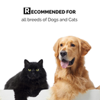 3-in-1 Hygiene & Protection kit | Ear Care, Dental & Tick Spray