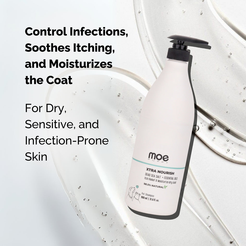 Xtra Nourish Medicated Shampoo for Dogs & Cats | 900ml