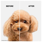 Moe puppy Shampoo plus Conditioner, dog with before and after