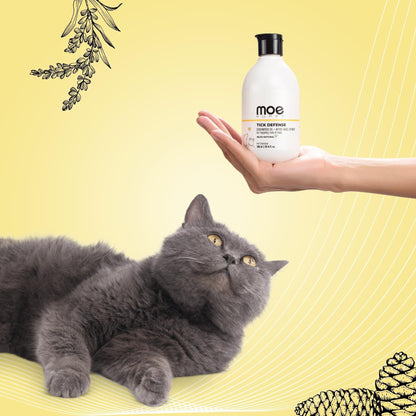 dog pet shop near me