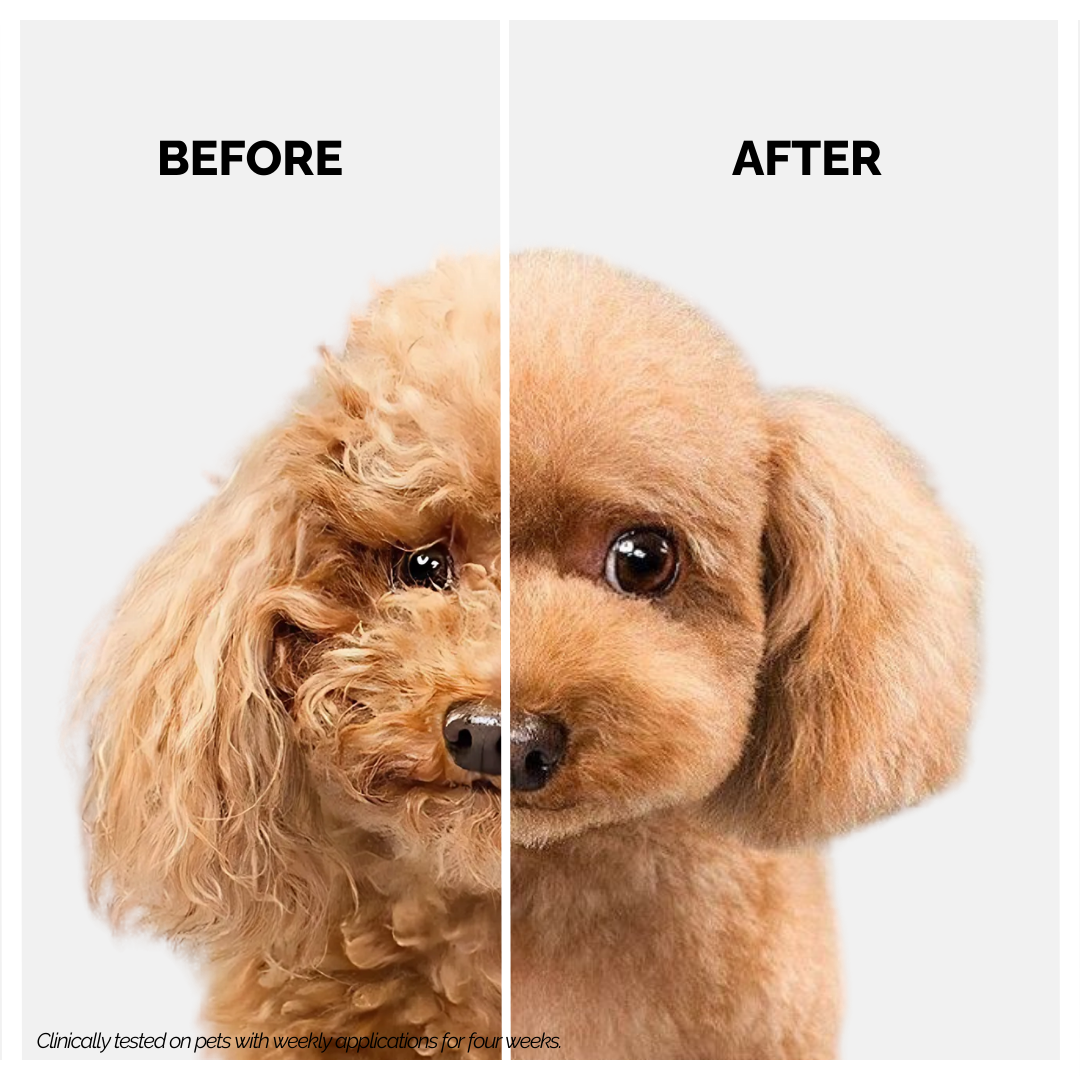 2 in 1 Shampoo plus Conditioner for Pets | 900ml