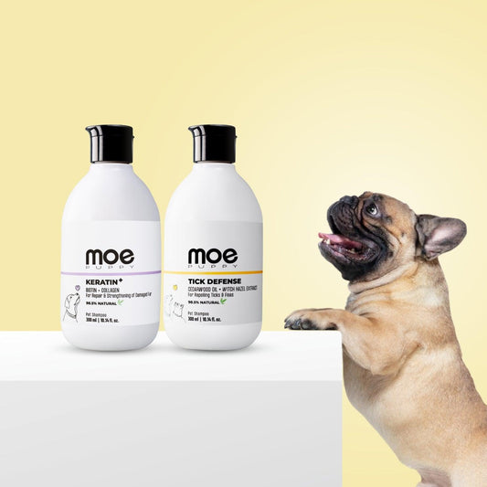 pet oil