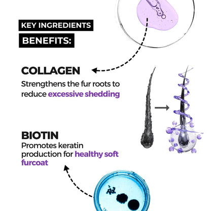 key ingridients benefits