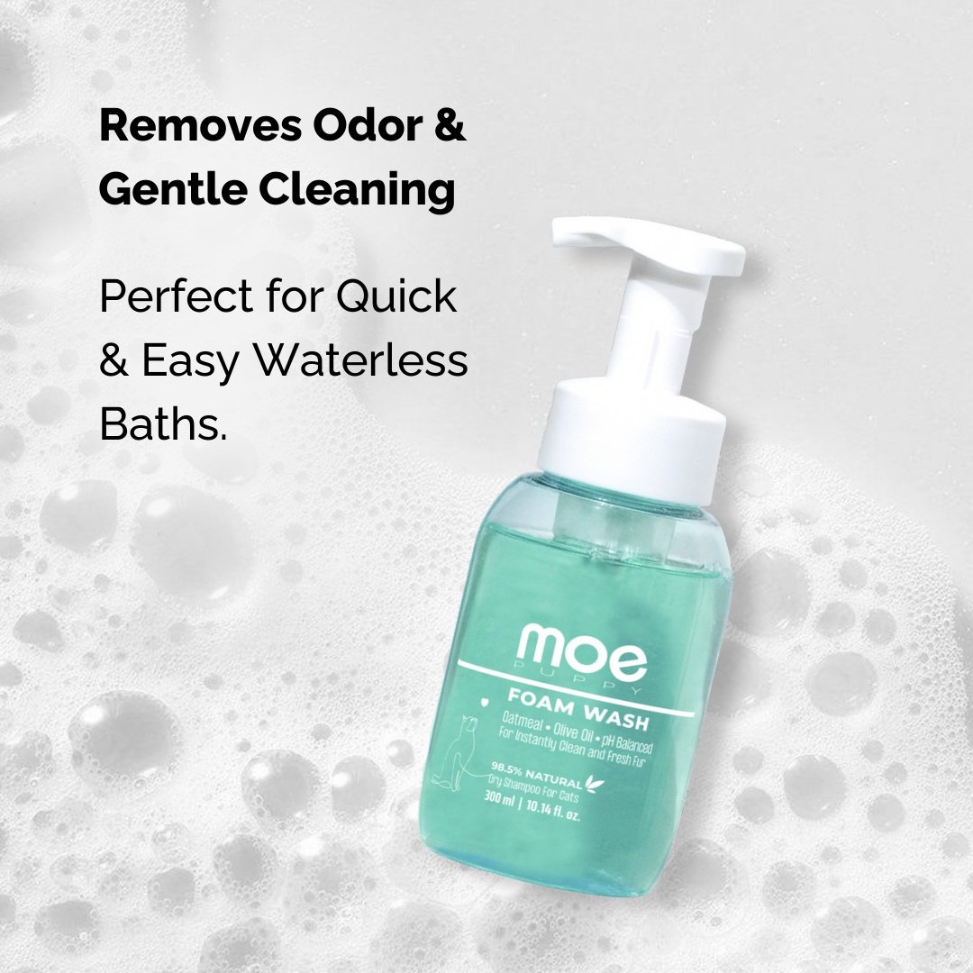 Foam Wash Dry Shampoo for Cats | Safe for Kittens