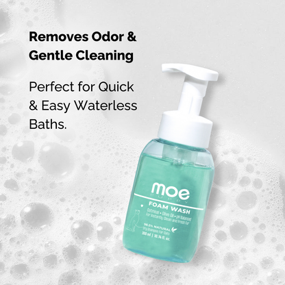 Foam Wash Dry Shampoo for Cats | Safe for Kittens