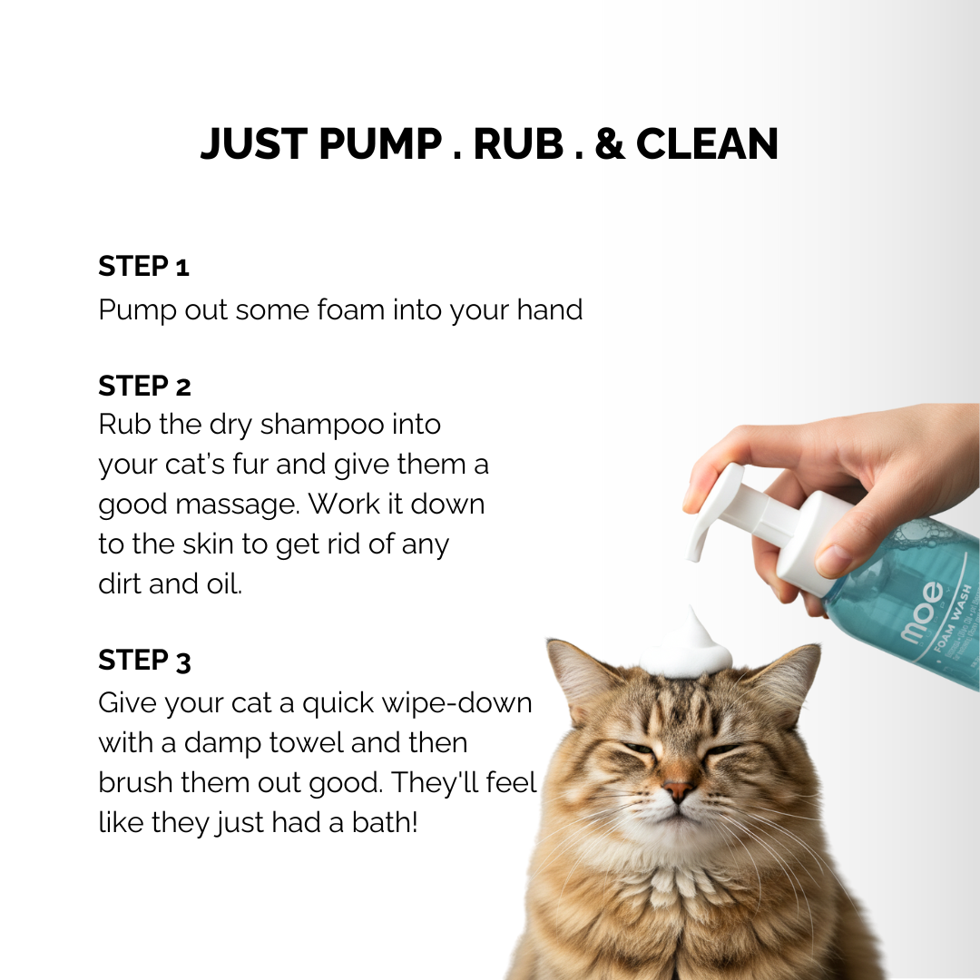 Foam Wash Dry Shampoo for Cats | Safe for Kittens