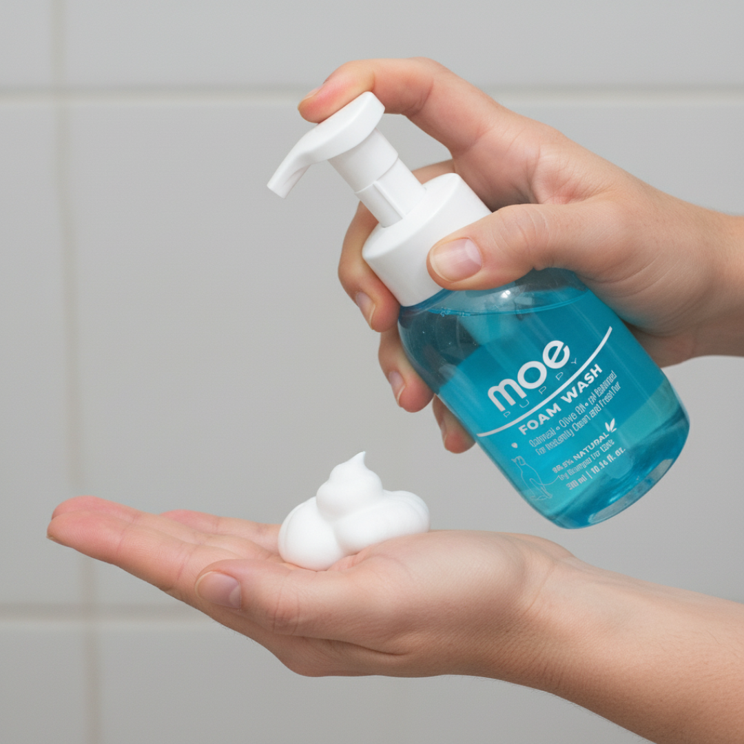 Foam Wash Dry Shampoo for Cats | Safe for Kittens