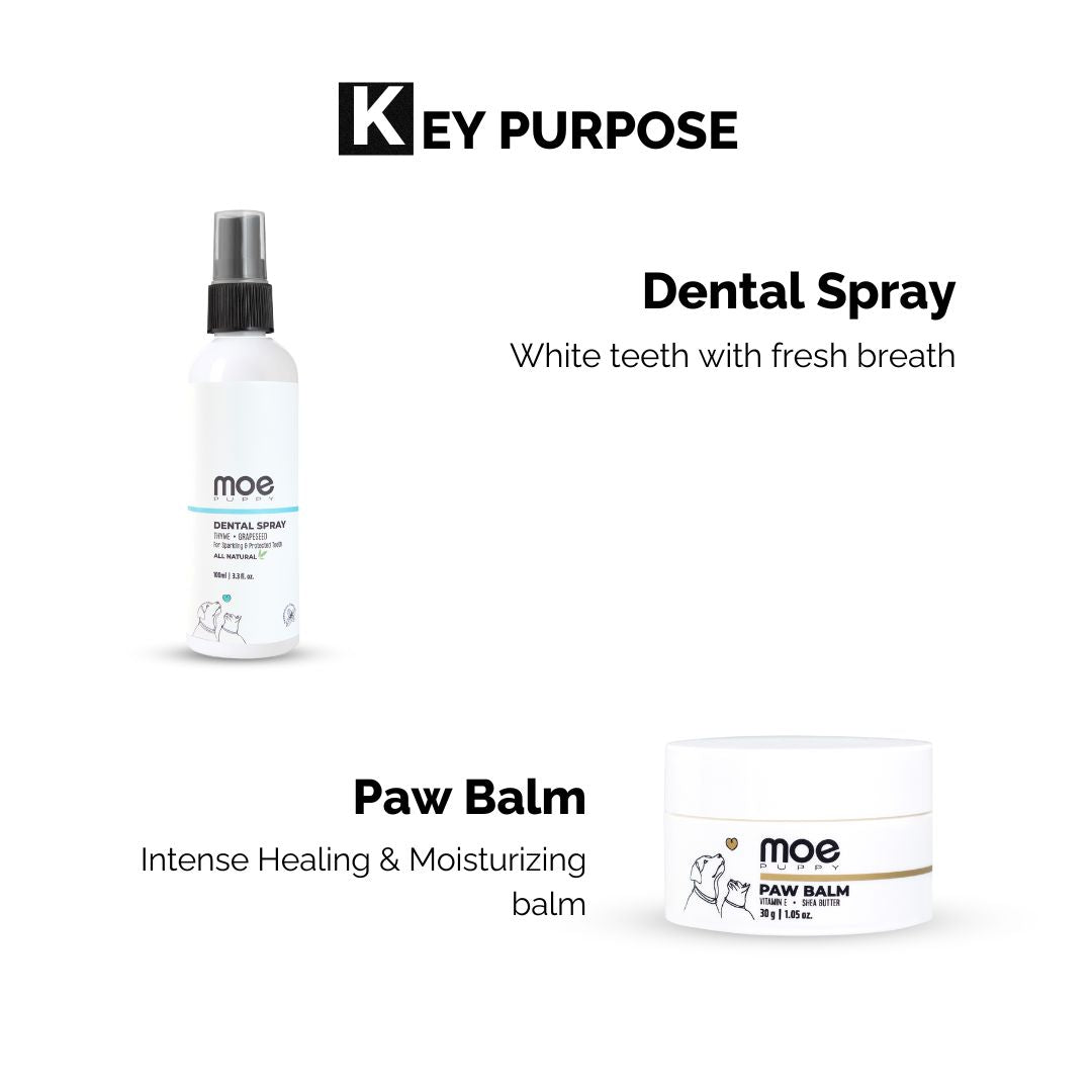 key purpose of dental spray and paw balm