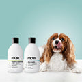 pet shampoo
