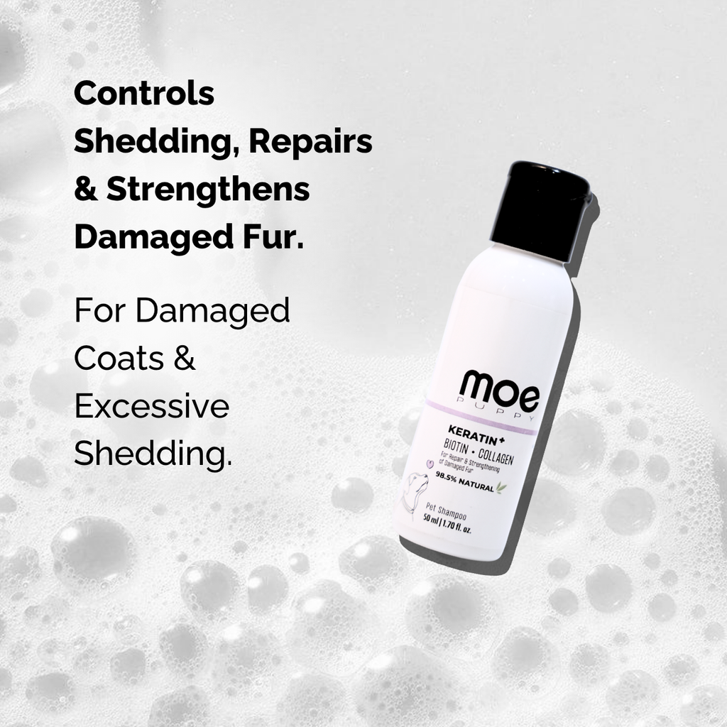 Discovery Pack – Keratin Plus & Xtra Nourish Shampoo Combo | 2 x 50ml